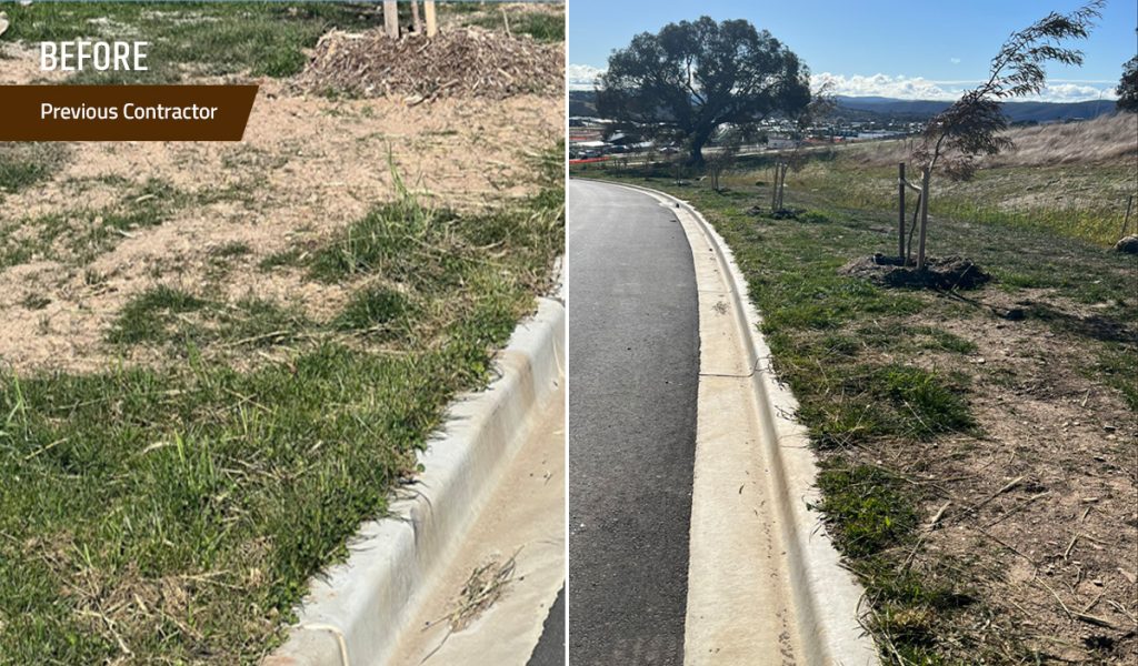 Canberra Roadside Revegetation Project